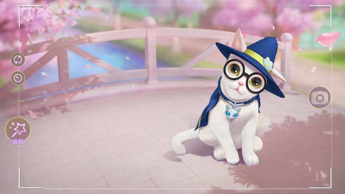 云养猫怎么玩,云养猫能玩什么