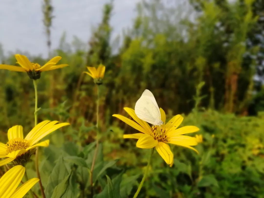 肿瘤与糖尿病——浅谈中医的认识学（诺贝尔奖医学峰会实录）