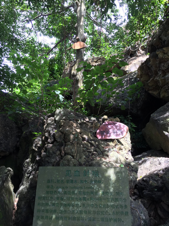 在这个阳光明媚的春季,在这个阳光灿烂的日子里