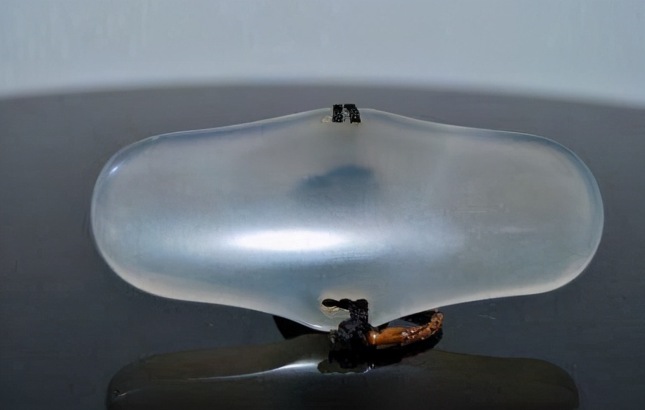 “臂鞲”这种罕见而又古老玉器你了解吗？