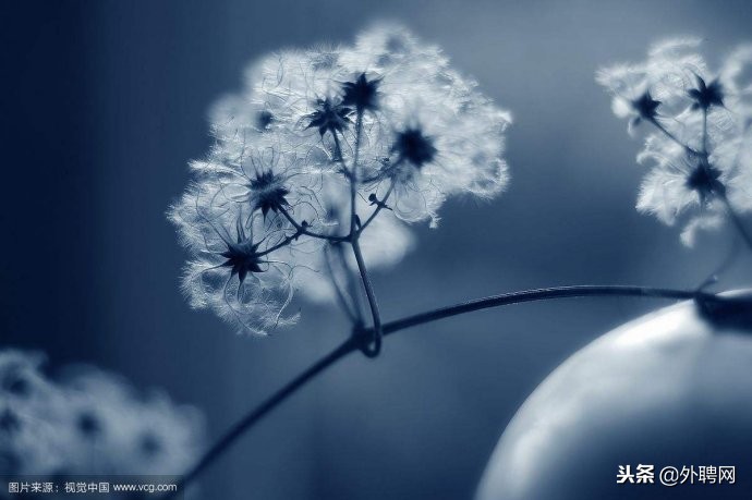 打工度假一年能赚多少钱,打工度假要多少钱