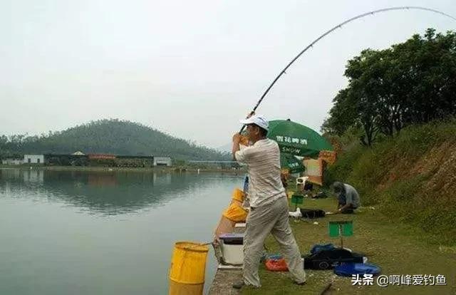 野钓如何钓底层鱼类最好,野钓怎么钓大个体鱼