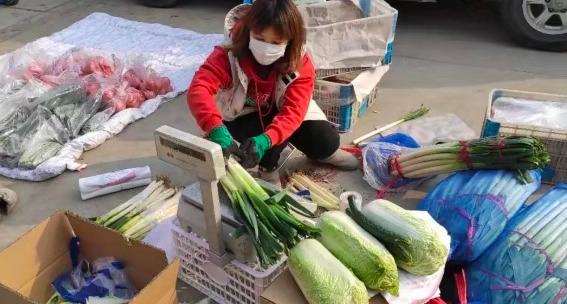 疫情期间竞秀区蔬菜配送,疫情期间九台区蔬菜送货