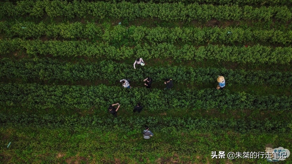 藏于深山人未识的天然氧吧,皖南最美的山乡石台