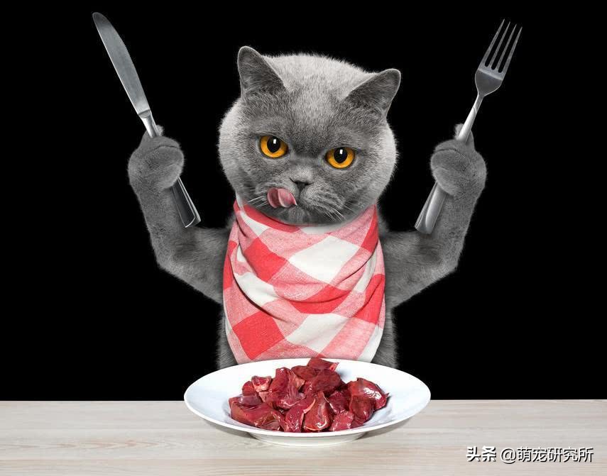 猫为什么爱吃冻干不吃自煮的肉,猫为什么爱吃罐罐不吃猫饭