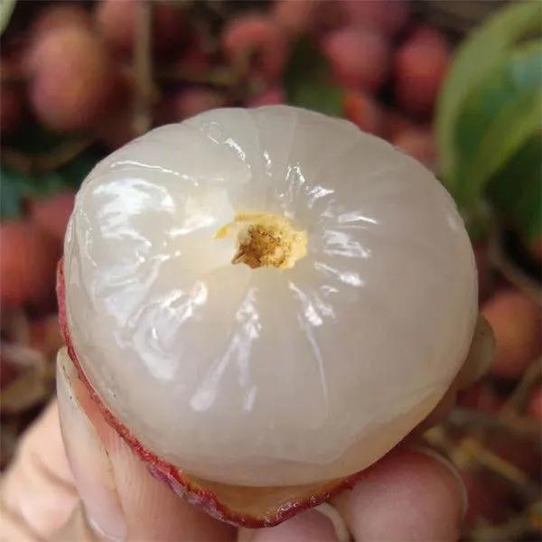 你了解东莞吗,廉江有什么