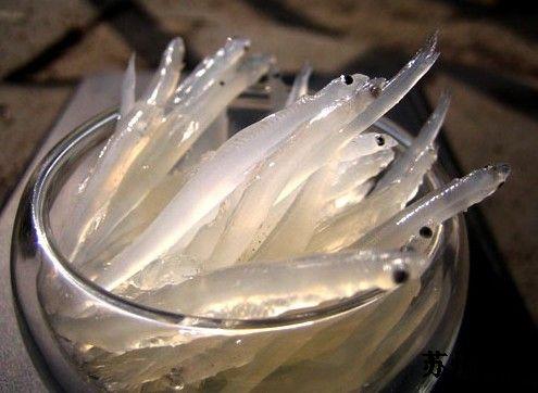 苏州西山红叶最佳观赏期,苏州西山小众打卡地