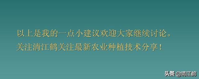 卖菜一斤利润不到一块能赚钱吗,菜农挣不挣钱
