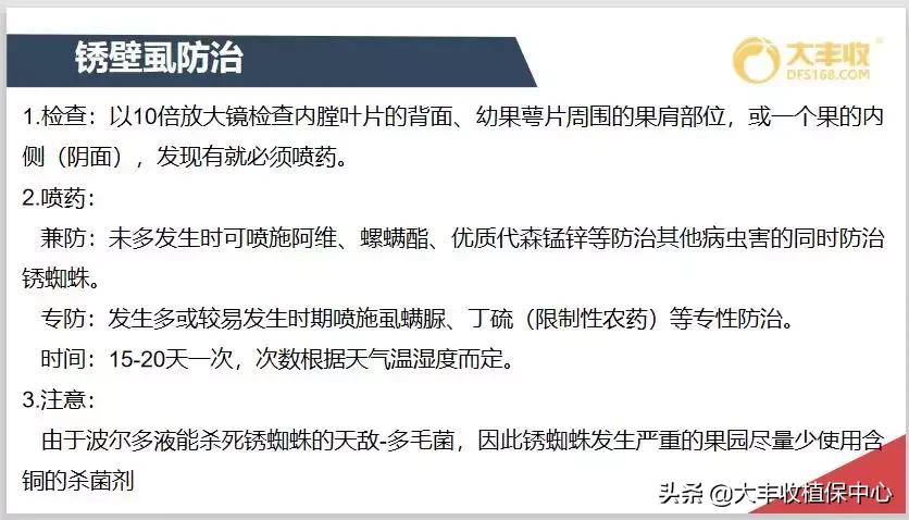 红蜘蛛锈壁虱大爆发该怎么用药,对红蜘蛛和锈壁虱有用的杀螨剂