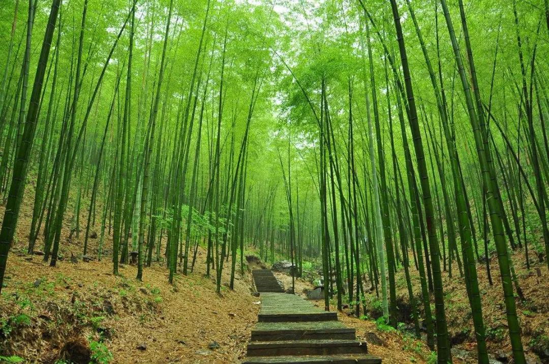 无锡融创太湖秀剧场开始表演了吗,融创无锡太湖秀剧场