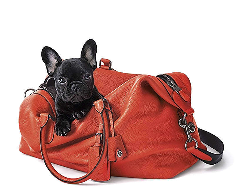 宠物篮筐,宠物篮