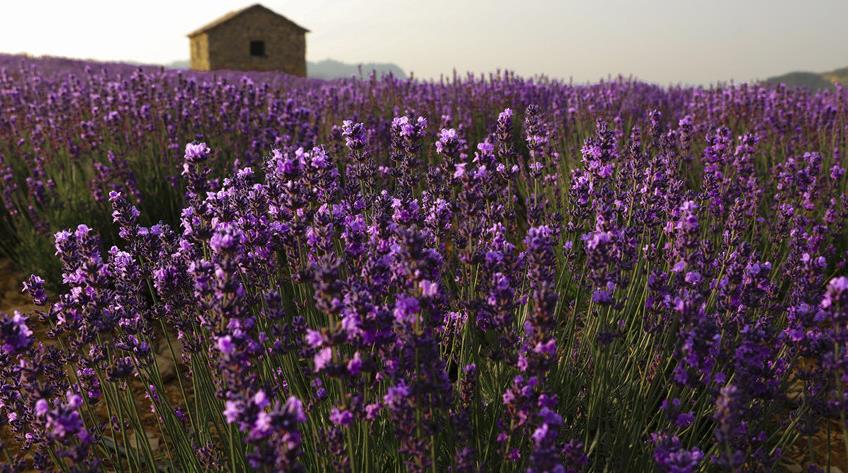 娼嶅潑鐢佃鍙伴煩鏅撶劧,闊╂檽鐒舵綅鍧婁富鎸佷汉