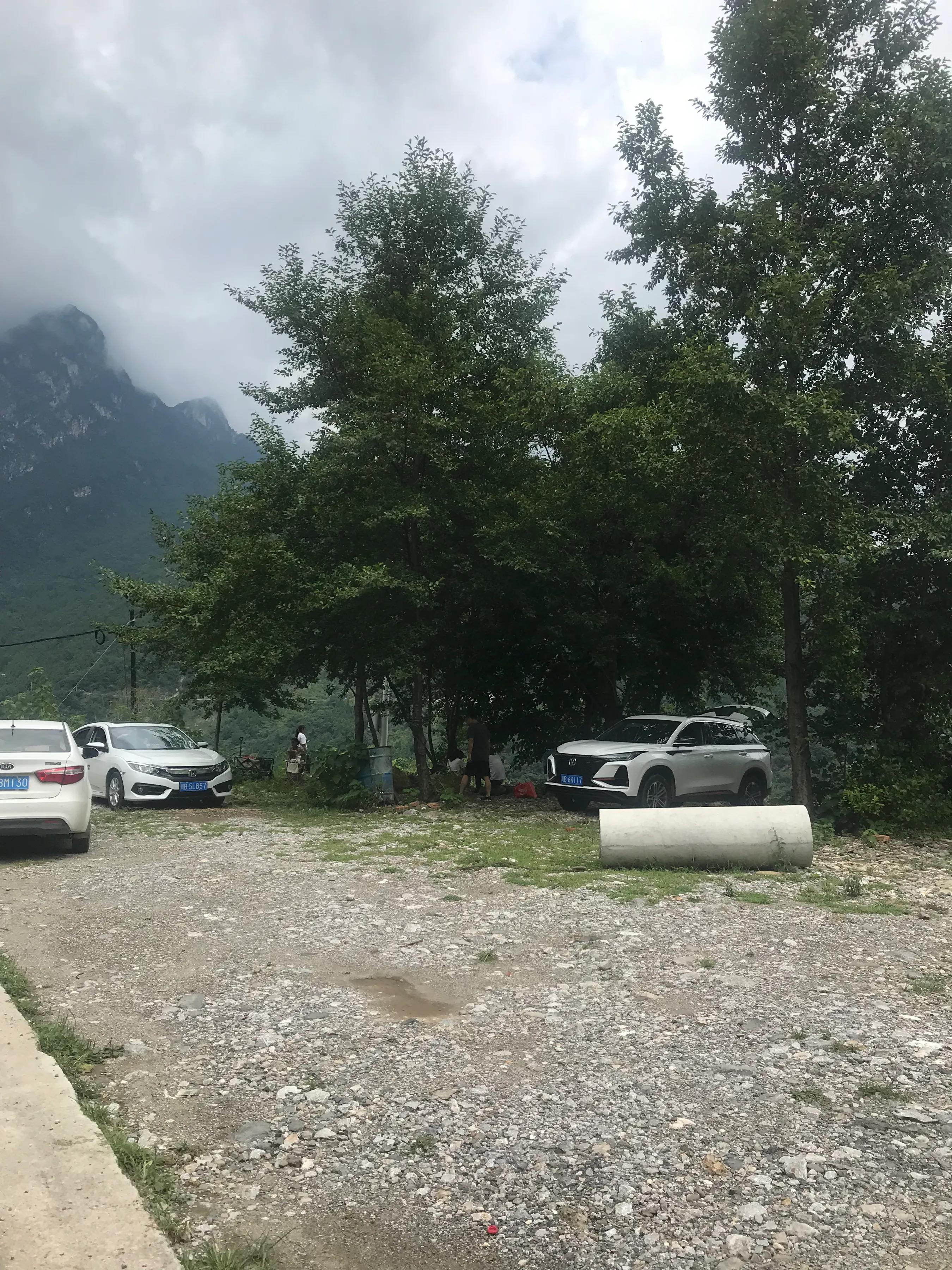 山远近路横斜读音,山远近路横斜青旗沽酒有人家意思