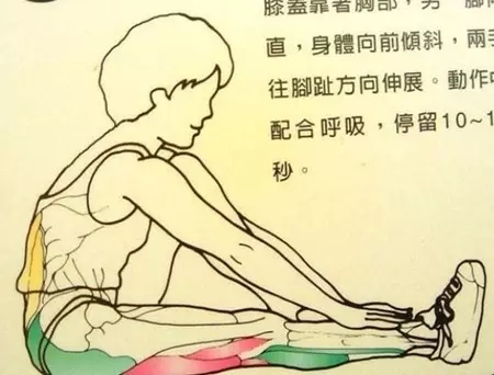 颈背拉筋的方法,颈肩腹部拉筋动作