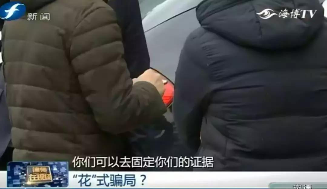 就是这些花……泉州有人为它花了几百万！