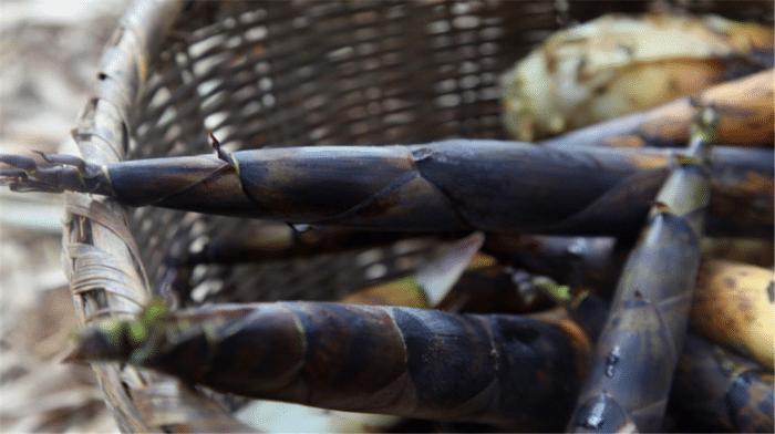 椋庡懗浜洪棿瀹氭。,椋庡懗浜洪棿鐩樼偣