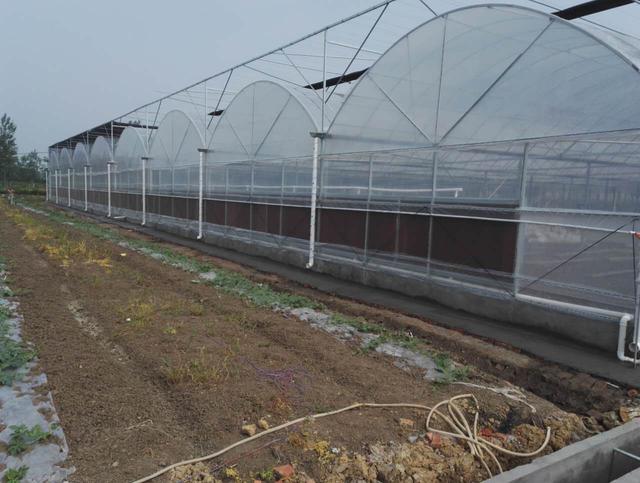 新型大型连栋温室大棚定制,专业生产养殖连栋温室大棚