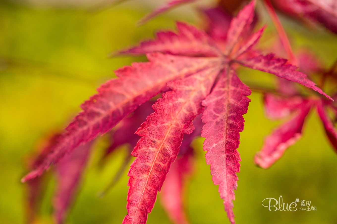 最有灵性的古佛寺,国内最美佛寺排行榜前十