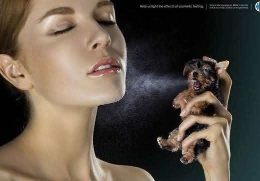 要美丽要温柔,要美丽不要风度