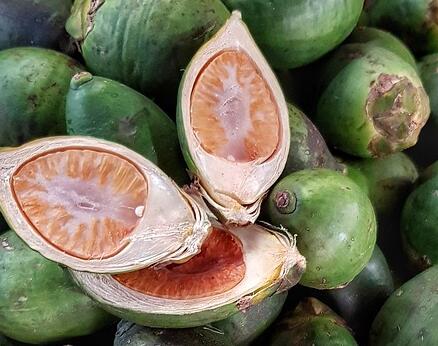 10种果子图片大全,100种果子介绍