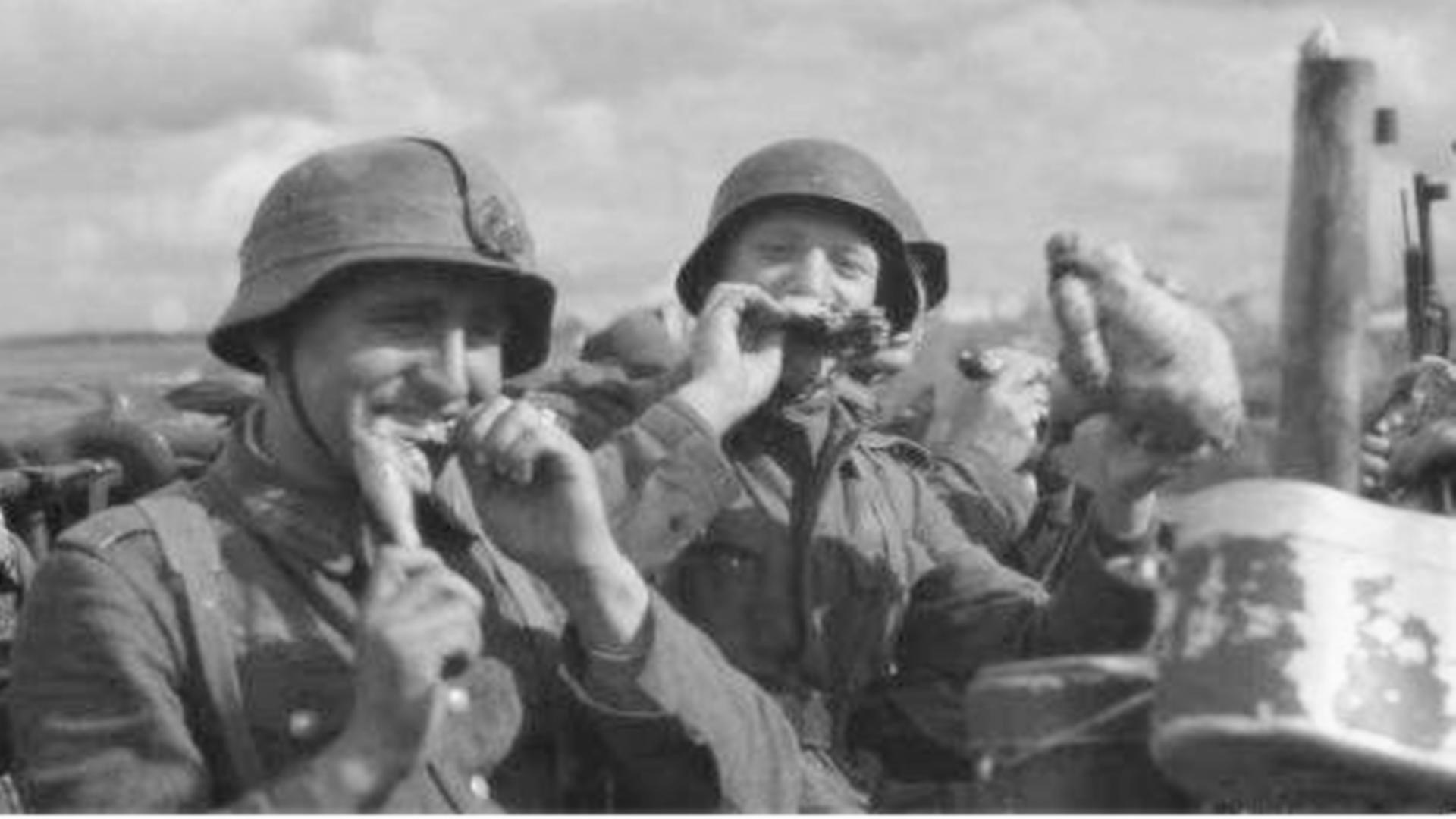 二战德国和日本有没有联合作战,二战德国联合苏联能打败美国吗