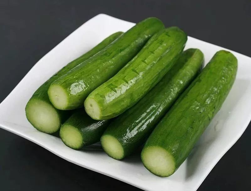 1斤10元种植什么最赚钱,田地种植什么品种最挣钱