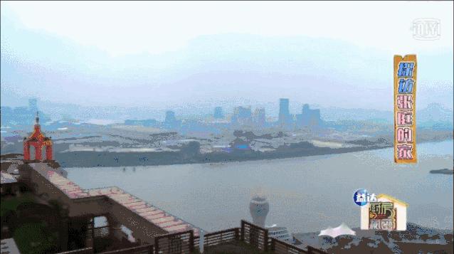 明星张庭的微商帝国有多强大,张庭夫妇微商帝国如何炼成