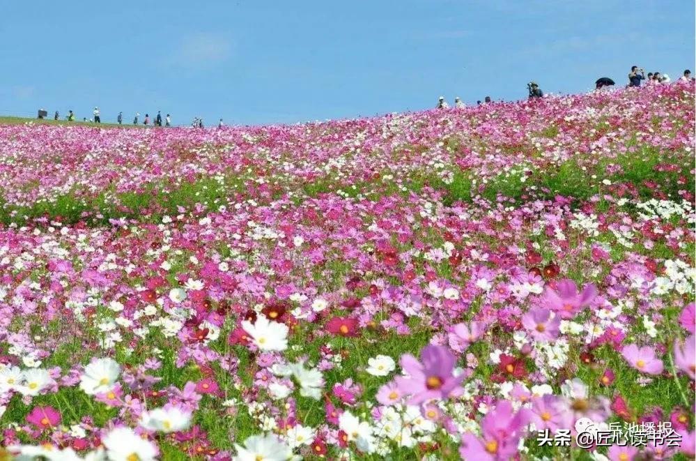 我的家乡广安市岳池县,岳池我的家乡