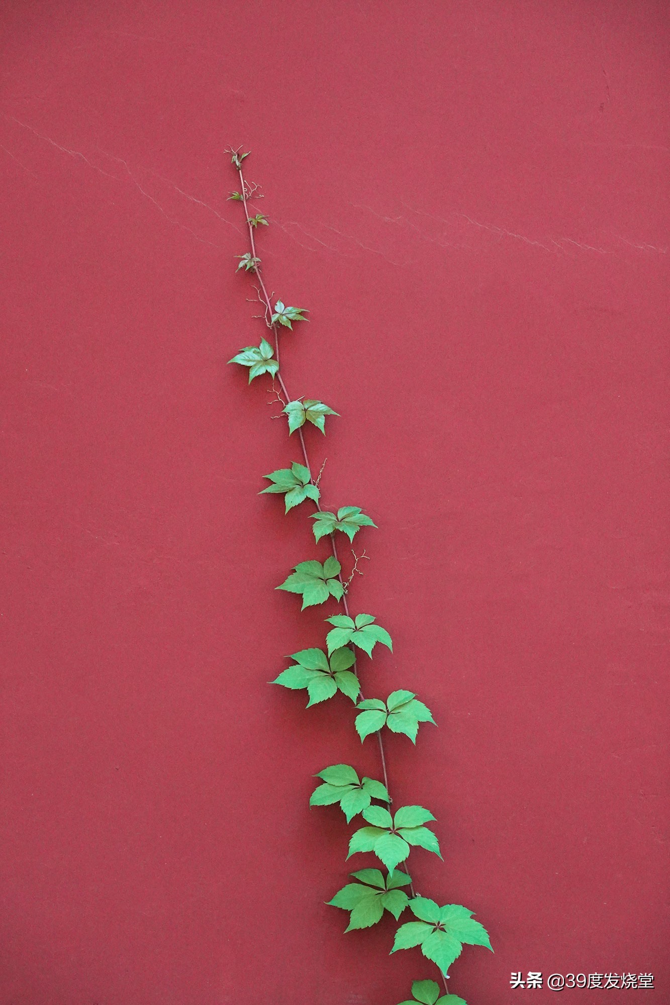 索尼黑卡7这东西会过时吗,索尼黑卡7拍照片怎么样