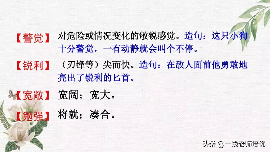 语文五年级上册第17课松鼠资料,部编版五年级上册第17课松鼠课件