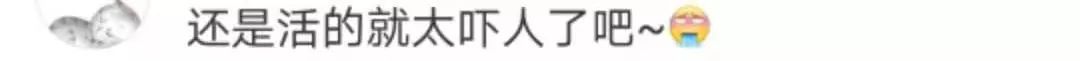 COSTA蛋糕吃出活蛆!业内曝光:冷冻条件下保存90天,正常