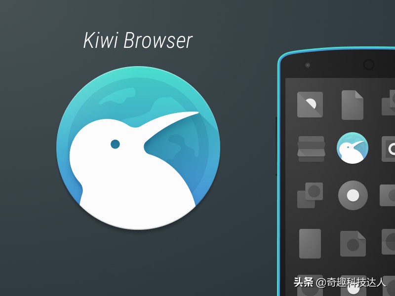 能安装插件的手机浏览器有哪些,有哪些可以安装扩展的手机浏览器