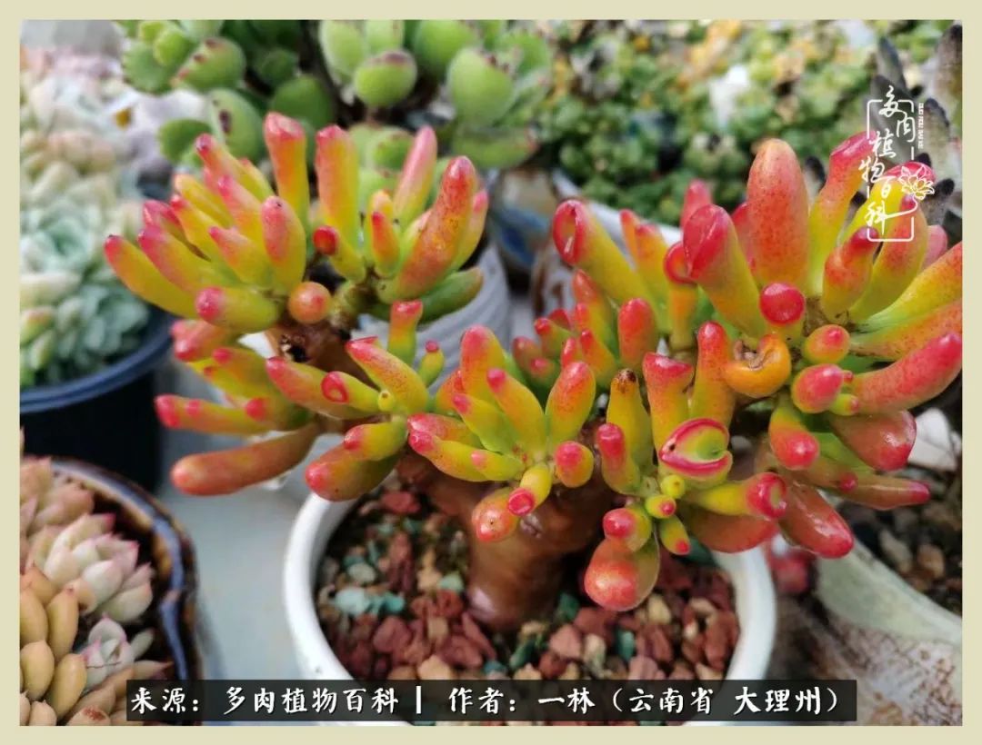 星光不问赶路人文案,时光不负有心人星光不负赶路人