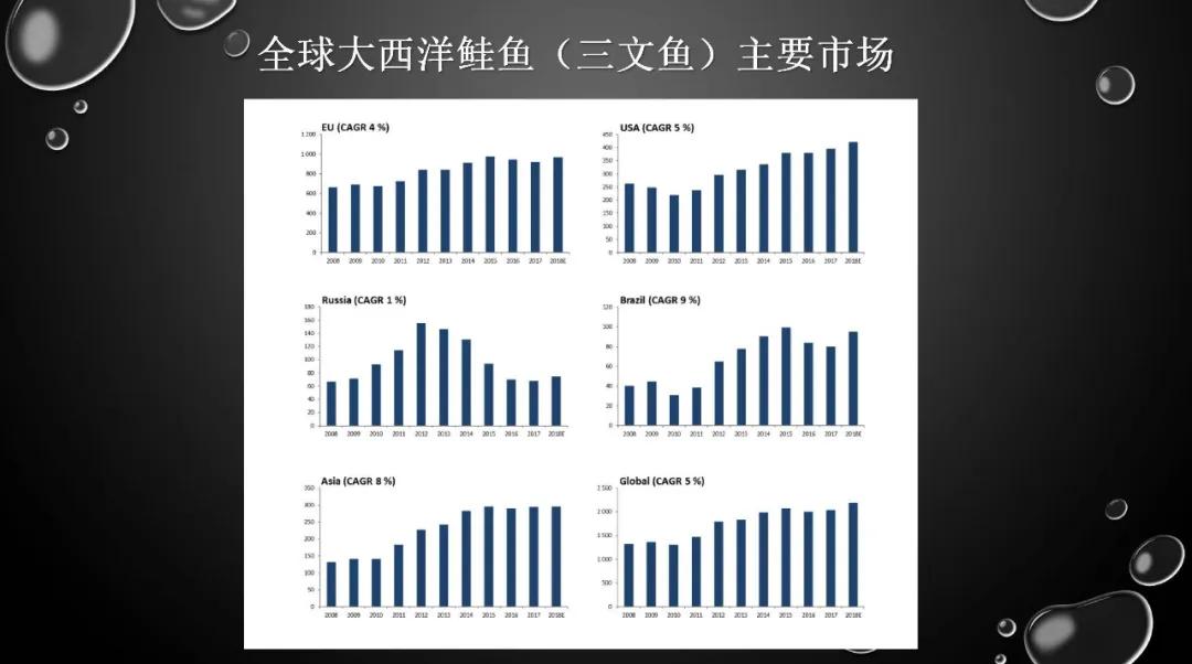 2019年中国三文鱼进口量达到10万吨！