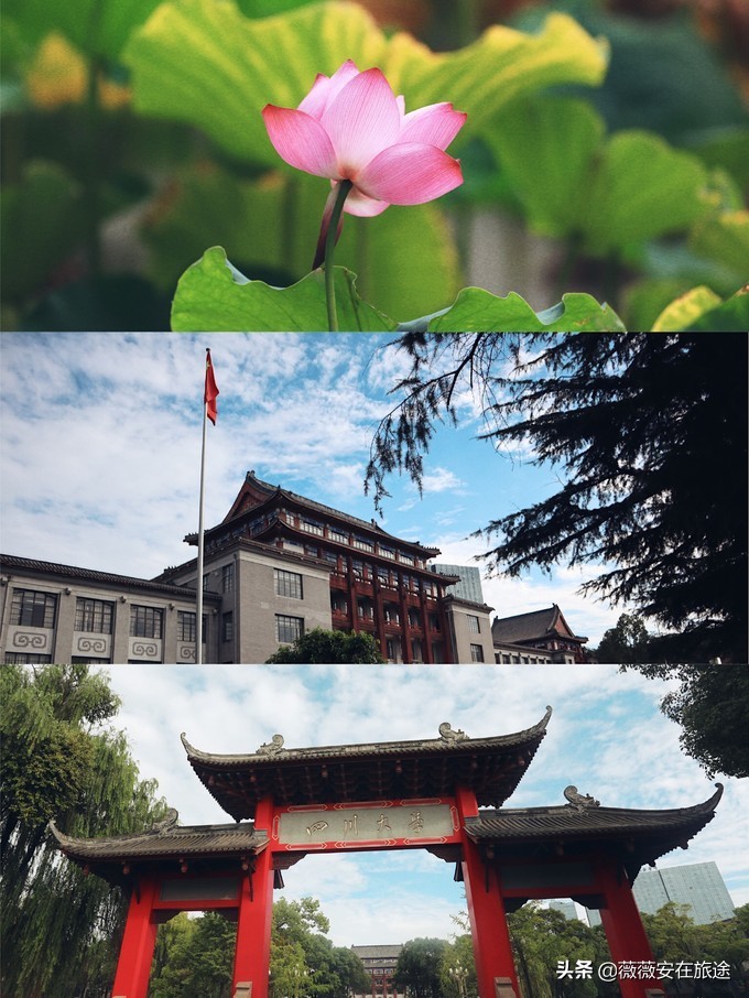 成都小众吃法大全,成都最难忘的100种吃法