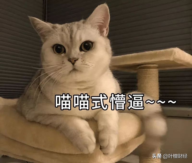 这类产品就是一个大忽悠！买了就坐等爆雷