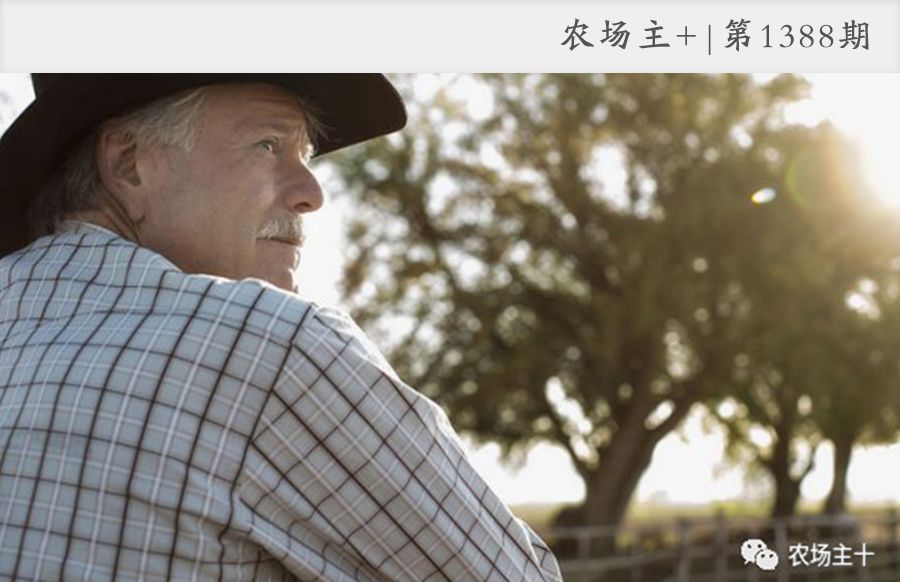 管理农场，或许你还少点火候