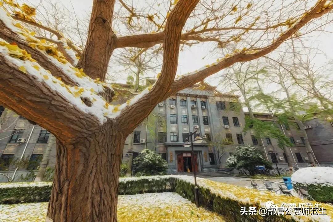 在机会和遗憾中的招聘之路（应聘经验分享系列）