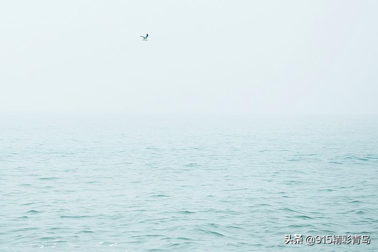 恋恋青岛，春深似海