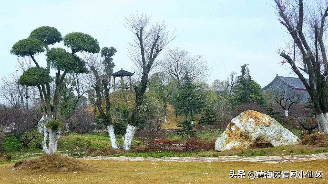 小池旅行怎么去,小池游玩附近推荐