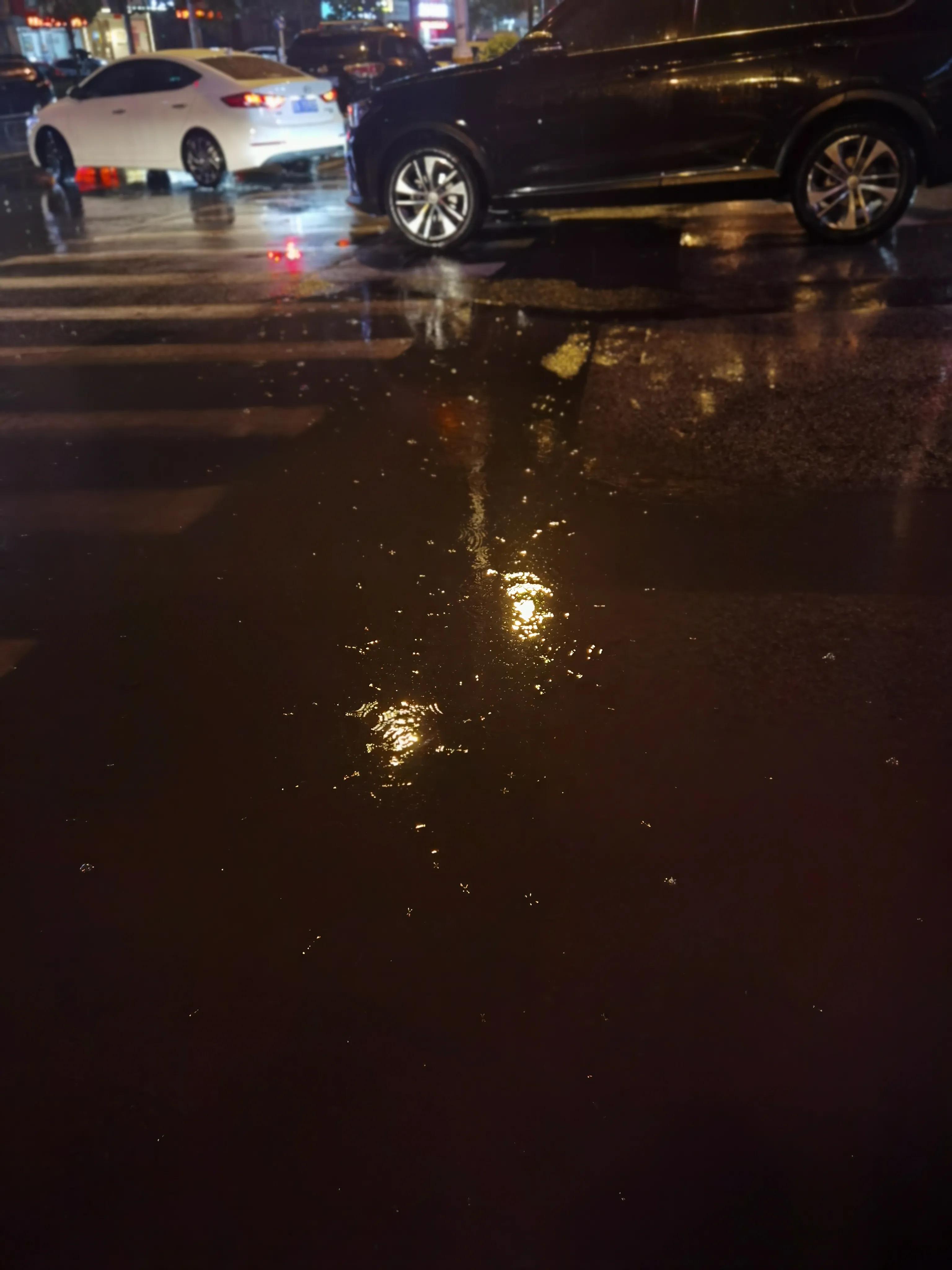 我为什么那样爱你,我为什么这样爱你歌曲