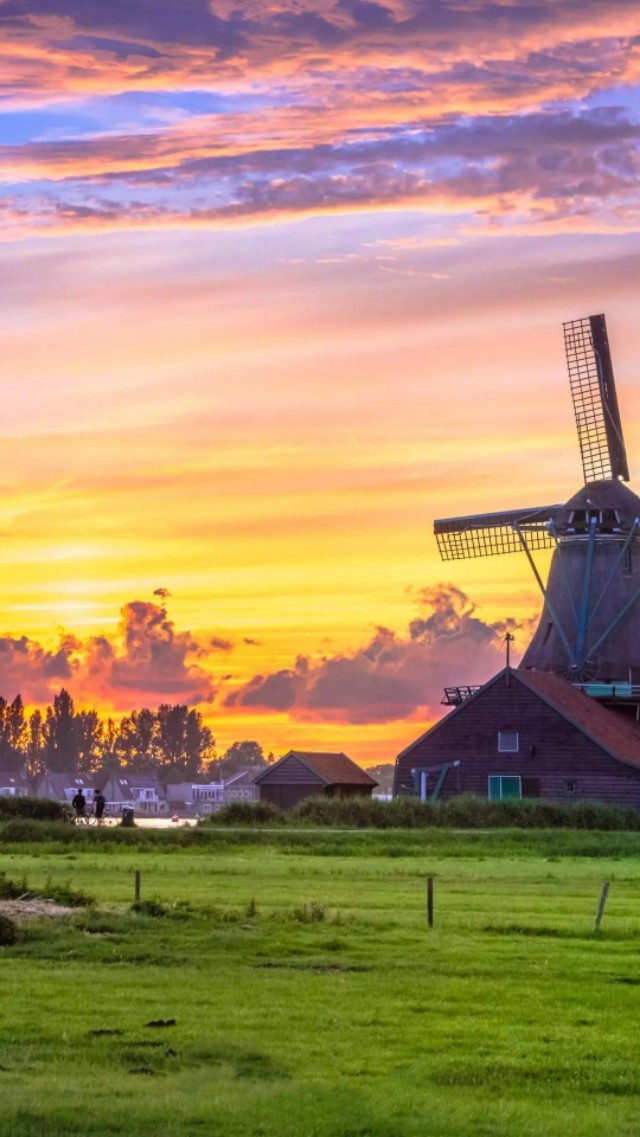 风车壁纸动态壁纸高清全屏90帧,努力赚钱吧手机壁纸图