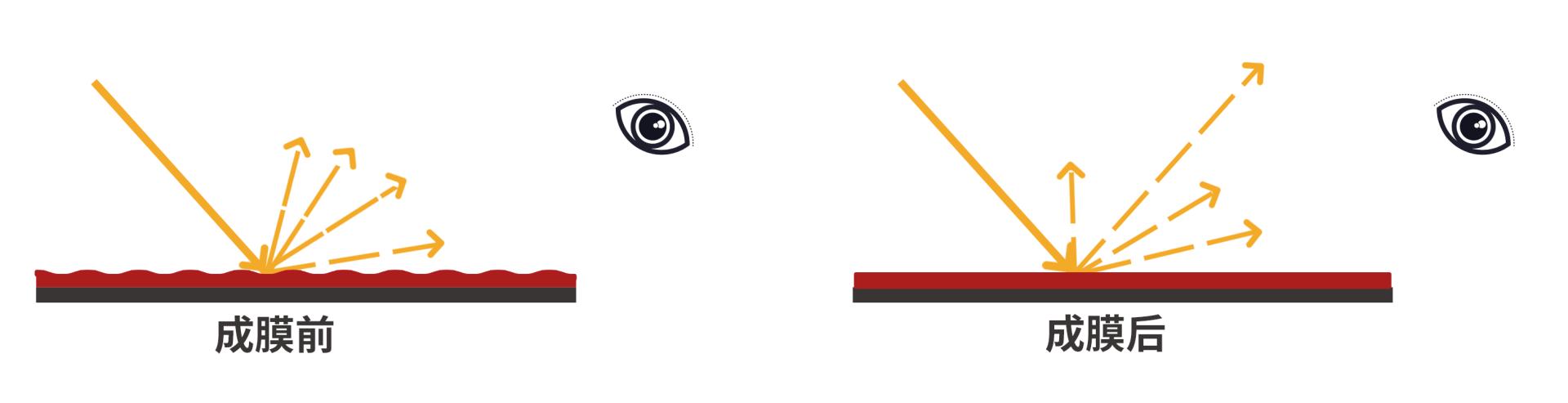 终于搞清楚了,为什么女生必买口红