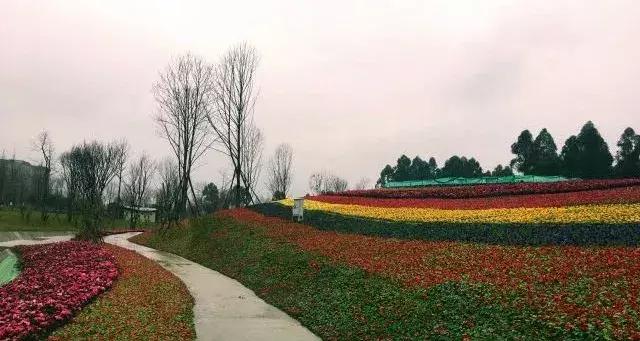 3月底天府绿道哪段最美,天府绿道介绍及特色