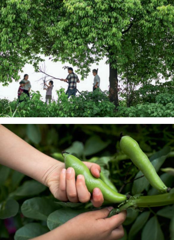 苏州震泽特色美食,震泽苏州