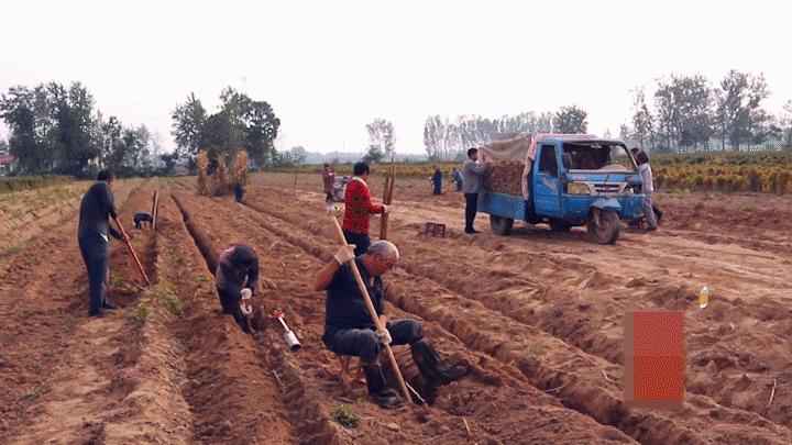 天华国际公区怎么样,天华国际的入户门
