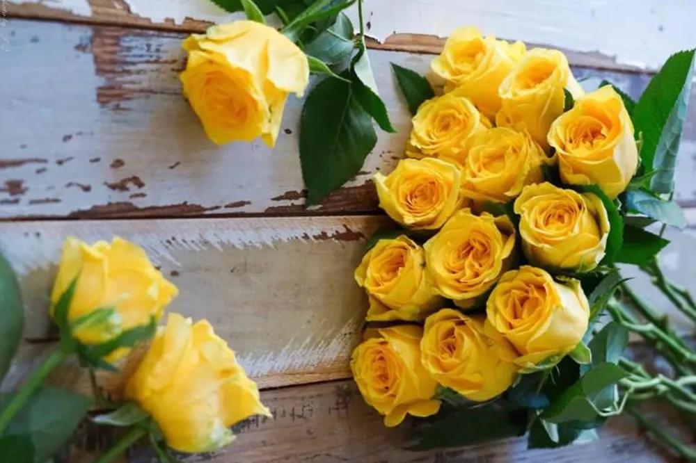 一篇文章带你认识三亚40种花,鲜花图鉴一次性认识30种玫瑰花