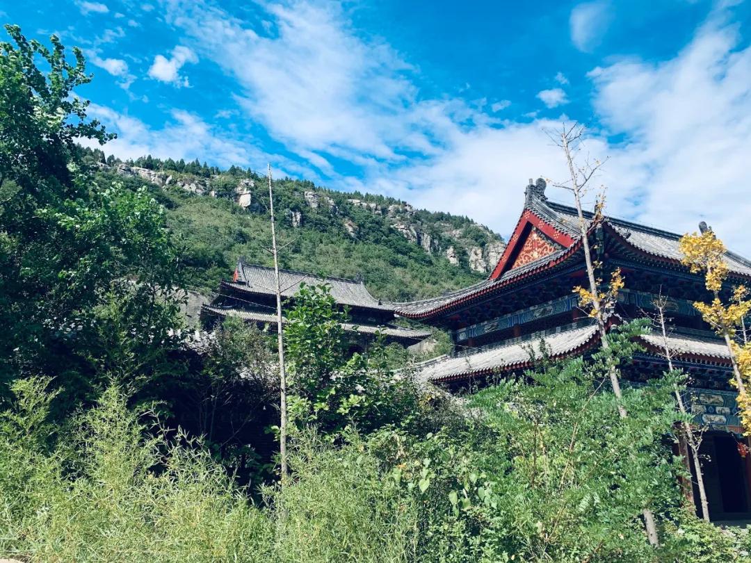 今年春节，留在枣庄过年吧！此心安处是吾乡~