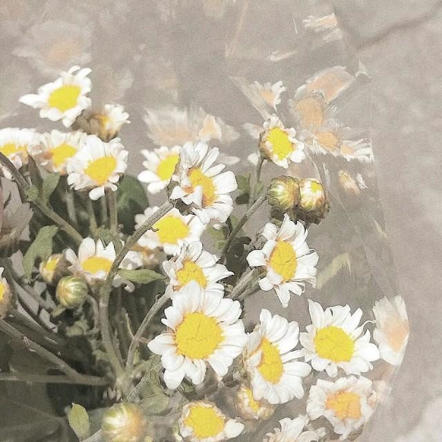 你别太得意小说全集,你别太得意英文