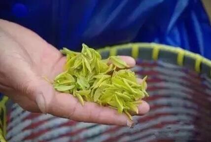 盘点自古以来茶的别名,各种茶的别名和雅号